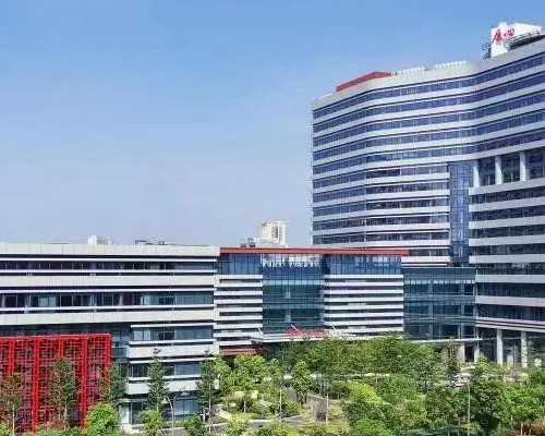 客观辨析中美两国第三代试管婴儿技术差异-找人供卵代生