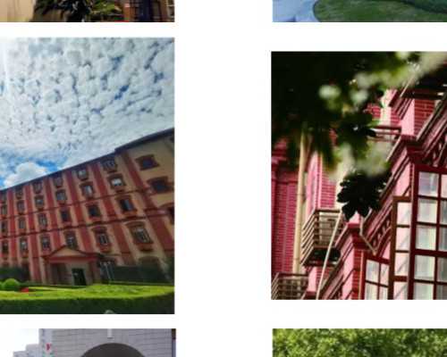 试管移植培养5天的4ca囊胚的成功率怎么样？-供卵代孕哪家好