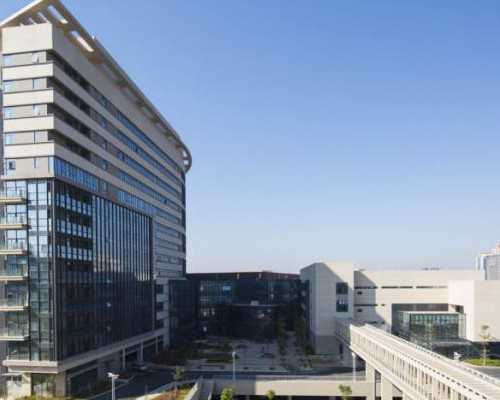 促排怀双胞胎的成功率很高吗-正规助孕