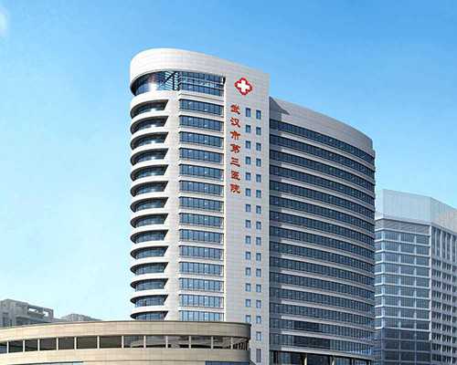 试管婴儿的艰辛之路_NO.8试管之路同样充满艰辛-供卵代怀流程