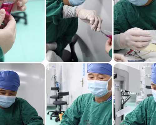 试管婴儿的过程是很艰辛的吗_试管婴儿的过程是很艰辛的