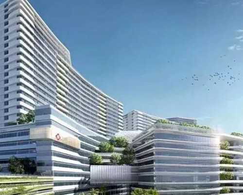 卵泡生成素正常值是多少