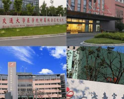 冷冻胚胎移植前准备，冻胚移植前的准备-代孕网包生男孩