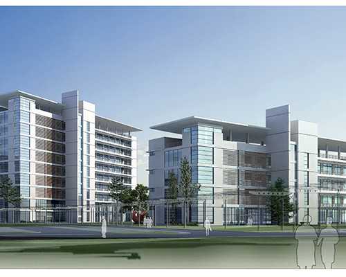 试管婴儿移植后会不会有身体反应？供卵试管婴儿的胚胎会被母体排斥吗？