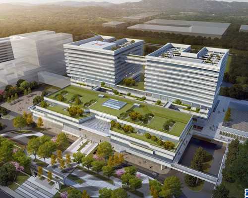 取卵5枚受精5枚其中多精受精2枚3枚正常受精