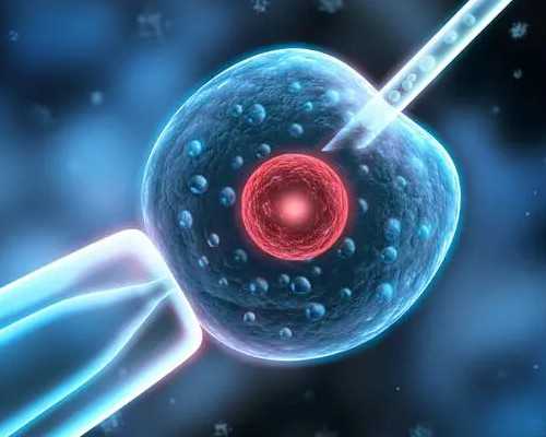 46岁做试管婴儿的几率有多大