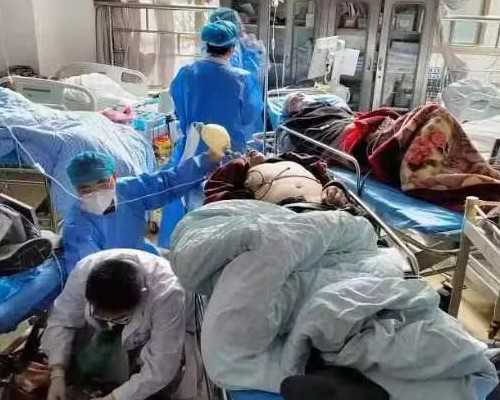 做试管婴儿的全部流程步骤有哪些？-借卵代孕需多钱